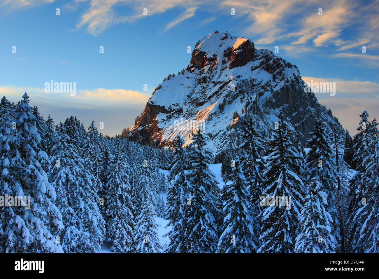 Alps Alpine panorama alpine valley view mountain mountains massif mountain panorama trees spruce spruces mountains summits pe Stock Photo