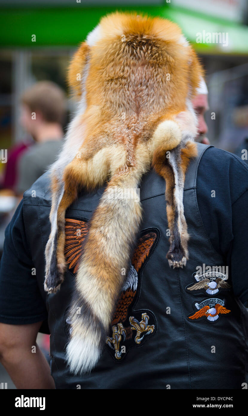 Fox skin hat hi-res stock photography and images - Alamy