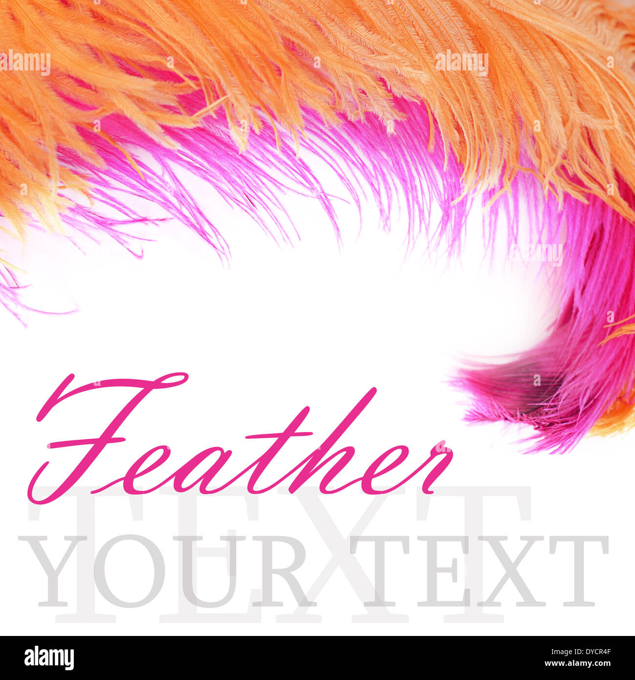 Pink feathers background Poster