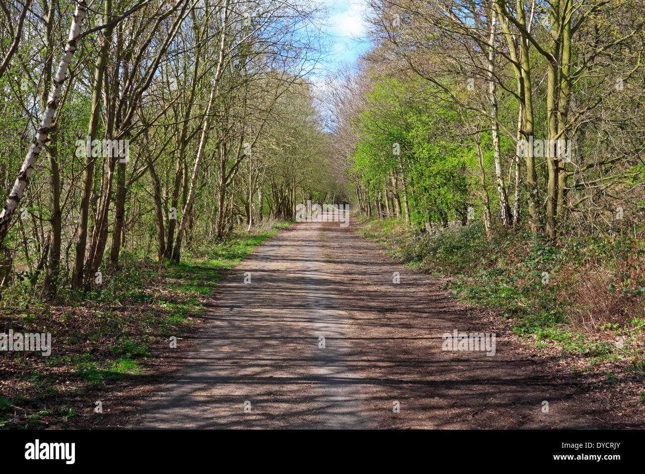 The Trans Pennine Trail, Upper Don Trail, Wortley, Barnsley, South Yorkshire, England, UK. Stock Photo