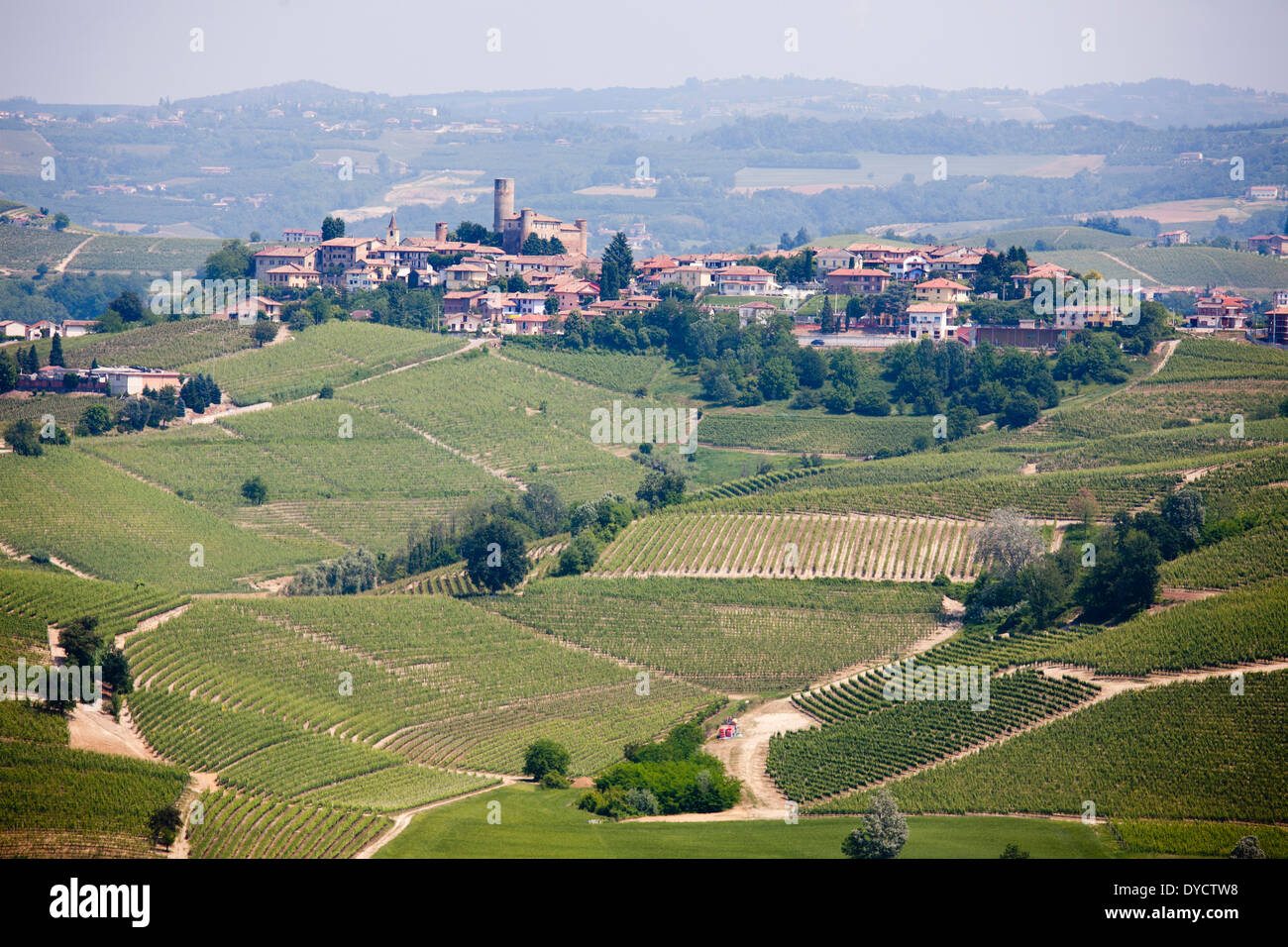 castiglione falletto village, cuneo, langhe, piemonte, italy, europe Stock Photo