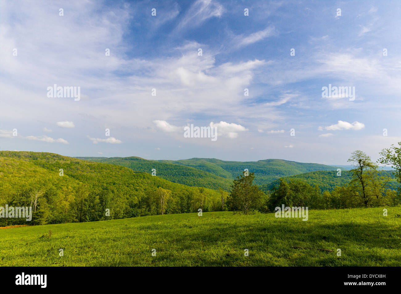 Pastoral view of pasture overlooking Boxley Valley, in the Ozark Mountains of North Central Arkansas Stock Photo