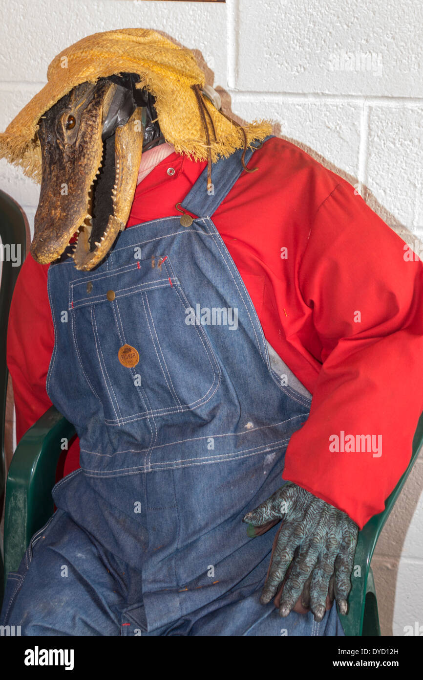 Florida Fl South Miami Tamiami Trail Highway Route 41 Everglades Gator Park Airboat Tours Alligator Head Humor Humorous Humour Human Like Stock Photo Alamy