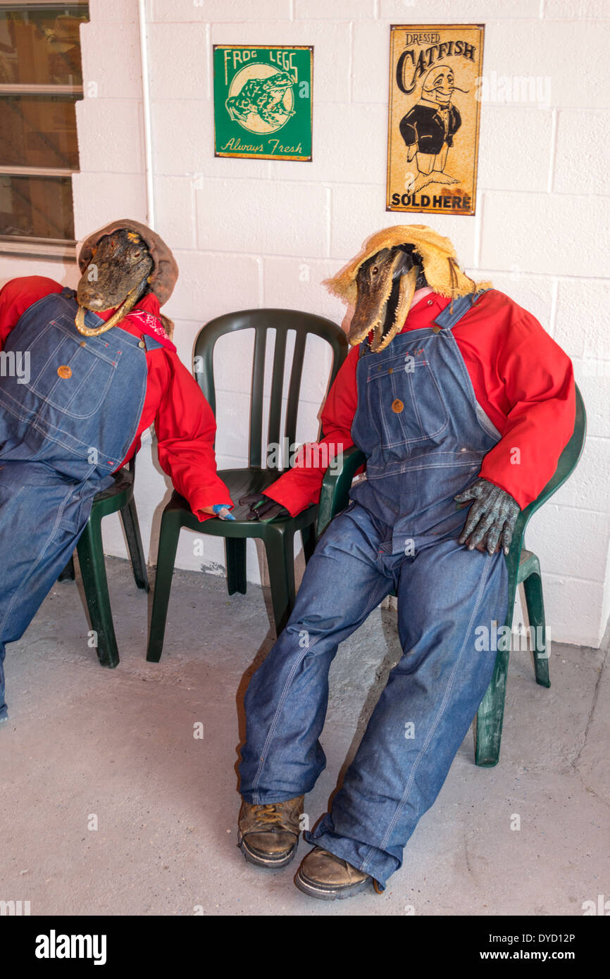 Florida Fl South Miami Tamiami Trail Highway Route 41 Everglades Gator Park Airboat Tours Alligator Head Humor Humorous Humour Human Like Stock Photo Alamy