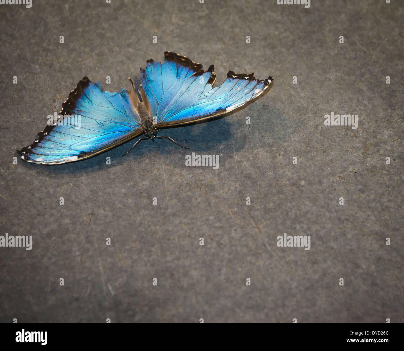 My Image 30
