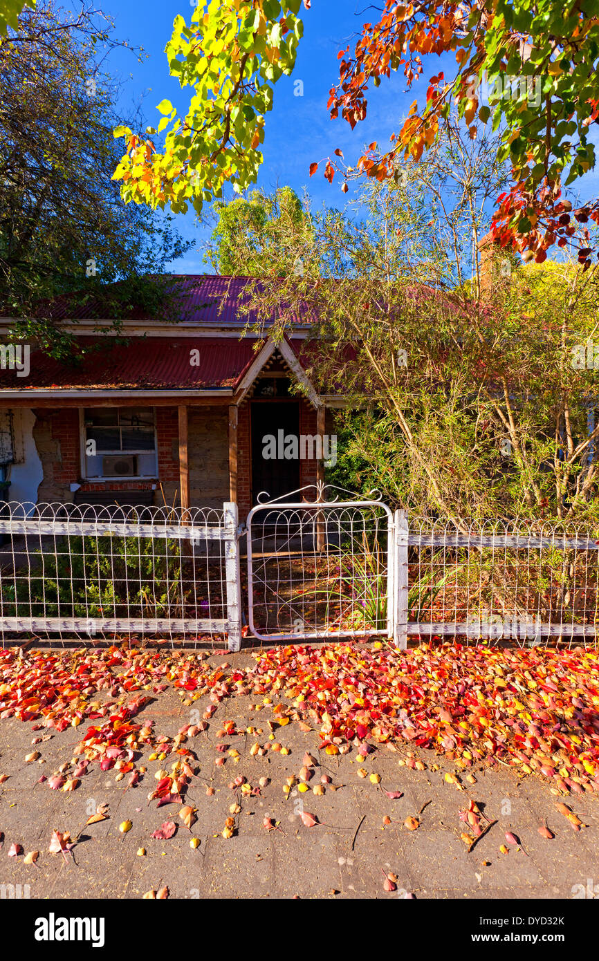 old cottage footpath main street Clarendon Adelaide Hills South Australia autumn leaves Stock Photo