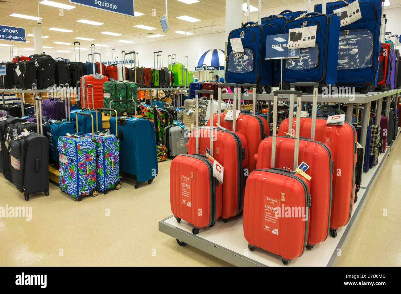 marshall store handbags