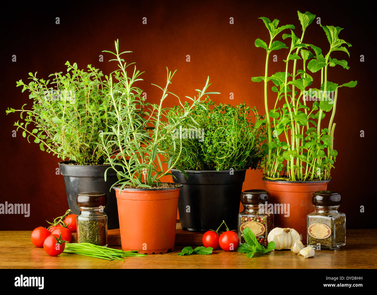 still life with fresh green herbs in pots Stock Photo