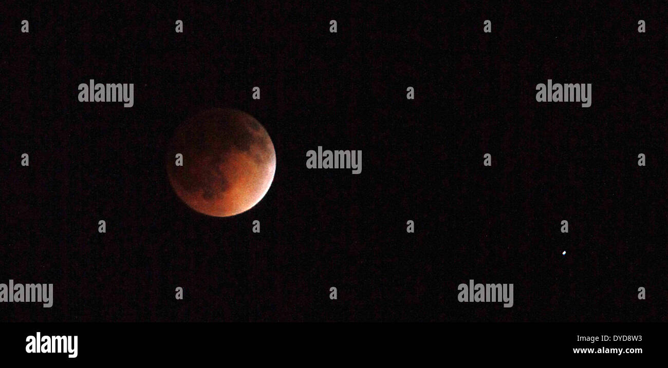 Las Vegas, Nevada, USA. 15th Apr, 2014. A total Lunar Eclipse seen on