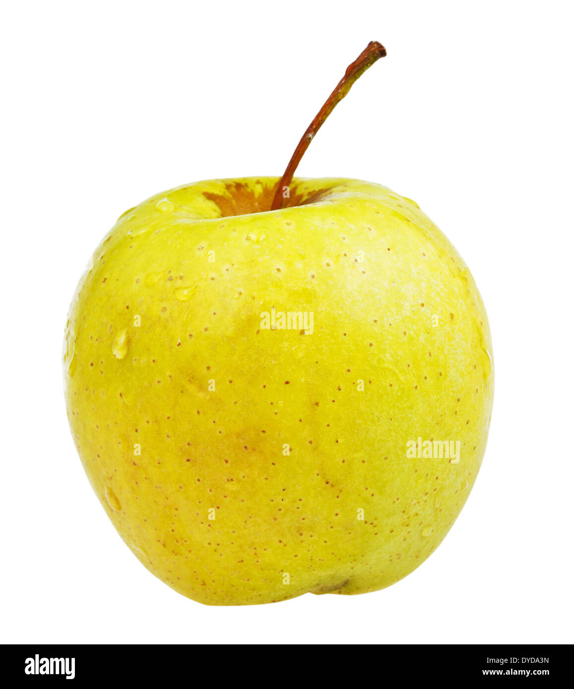yellow golden delicious apple isolated on white background Stock Photo Alamy