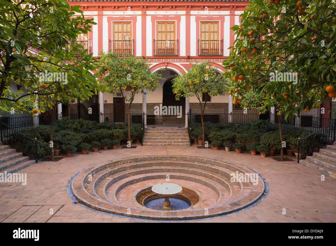 Bitter or Seville Orange trees (Citrus x aurantium) in the courtyard of the Hospital de los Venerables Sacerdotes Stock Photo