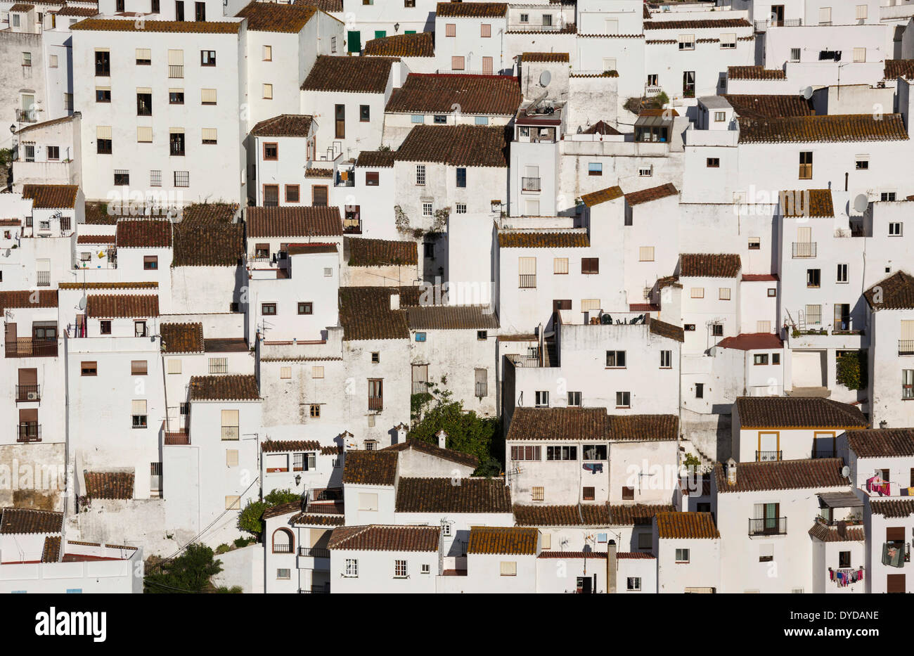 The White Town of Casares clings to a steep hillside, Málaga province, Andalusia, Spain Stock Photo