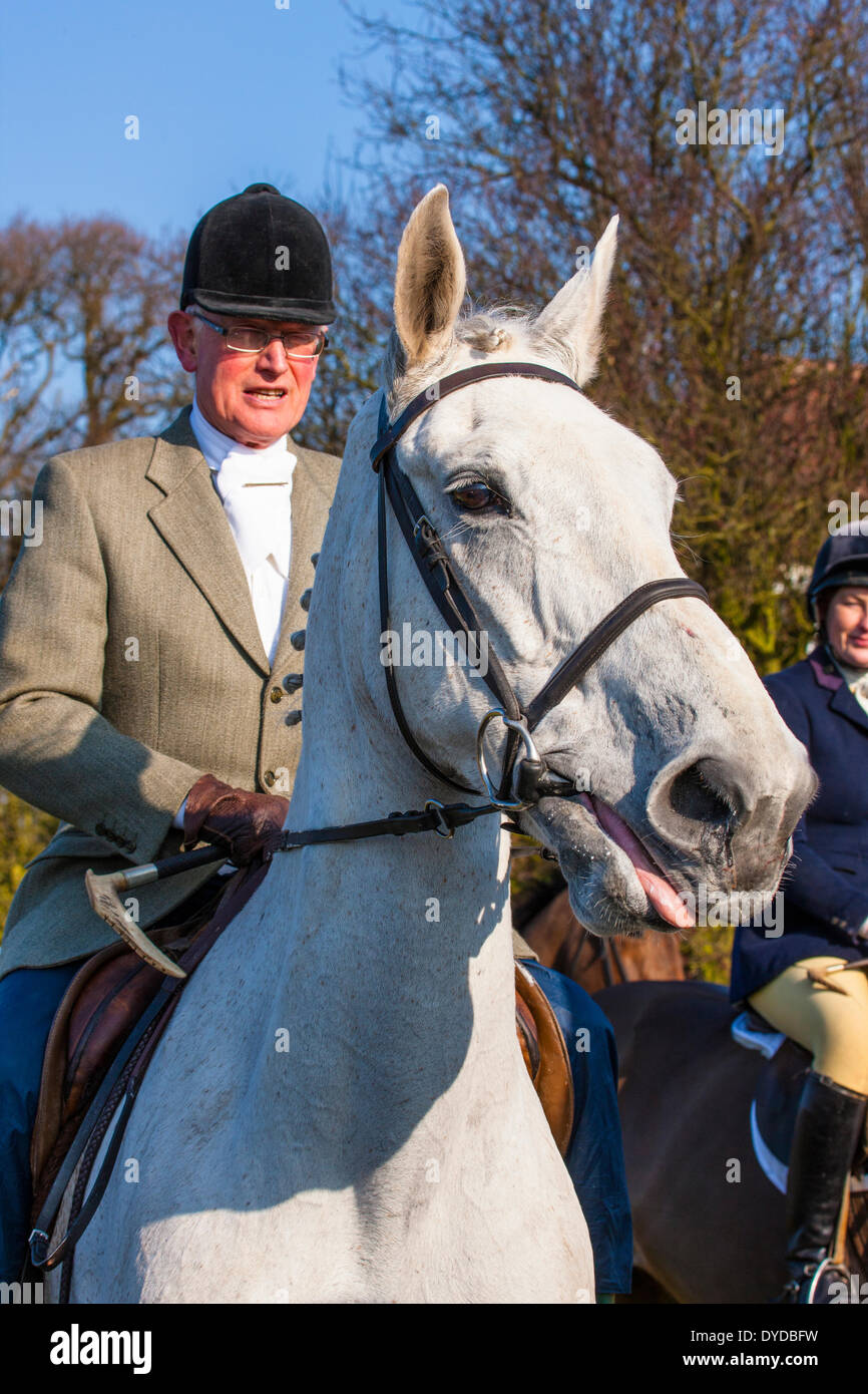 Huntsman on grey horse. Stock Photo
