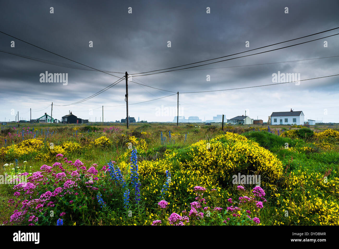 Ealry morning view of Dungeness with its scatter of wooden buildings and telephone poles. Stock Photo