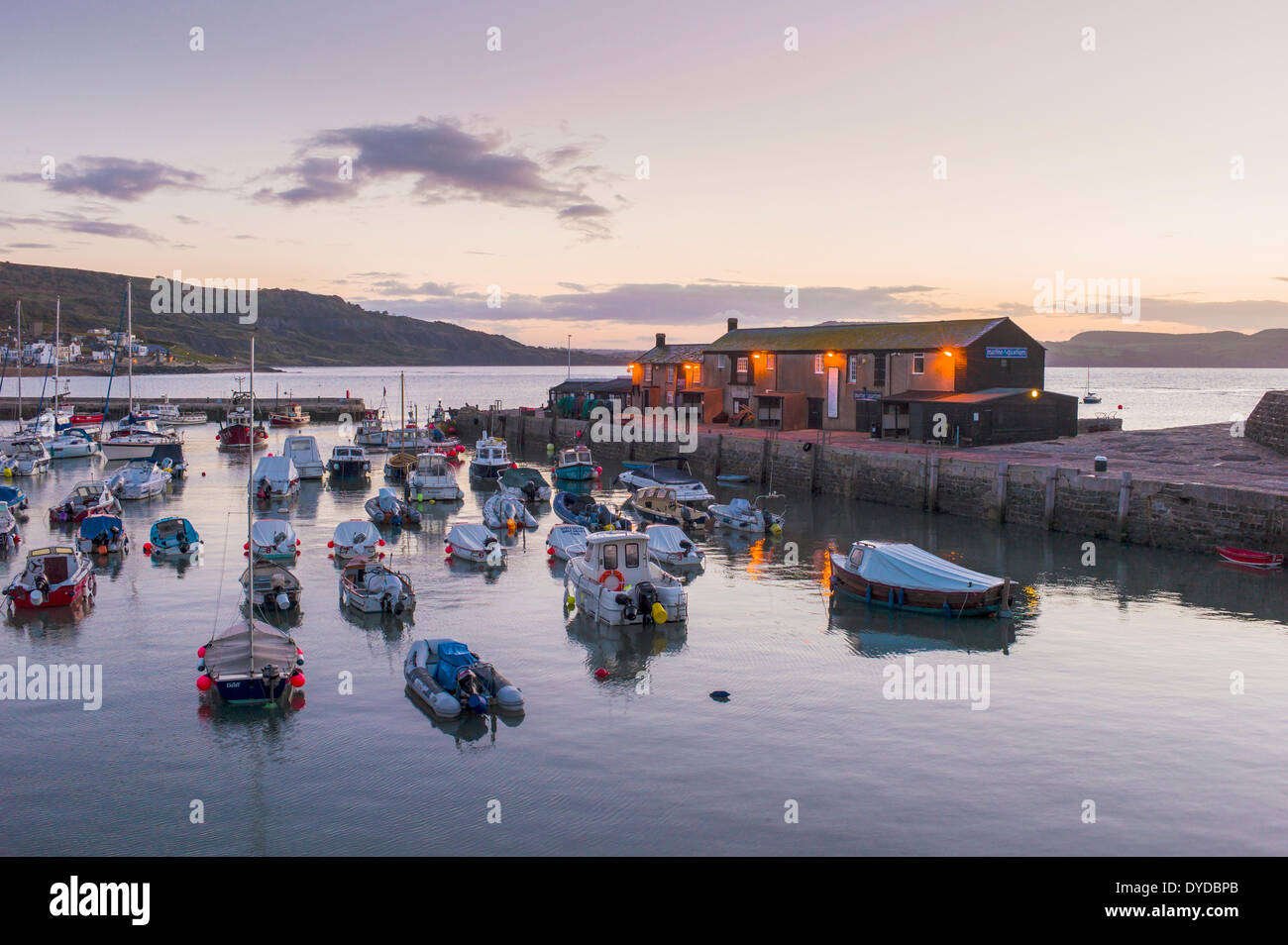 Lyme Regis harbour just before sunrise. Stock Photo