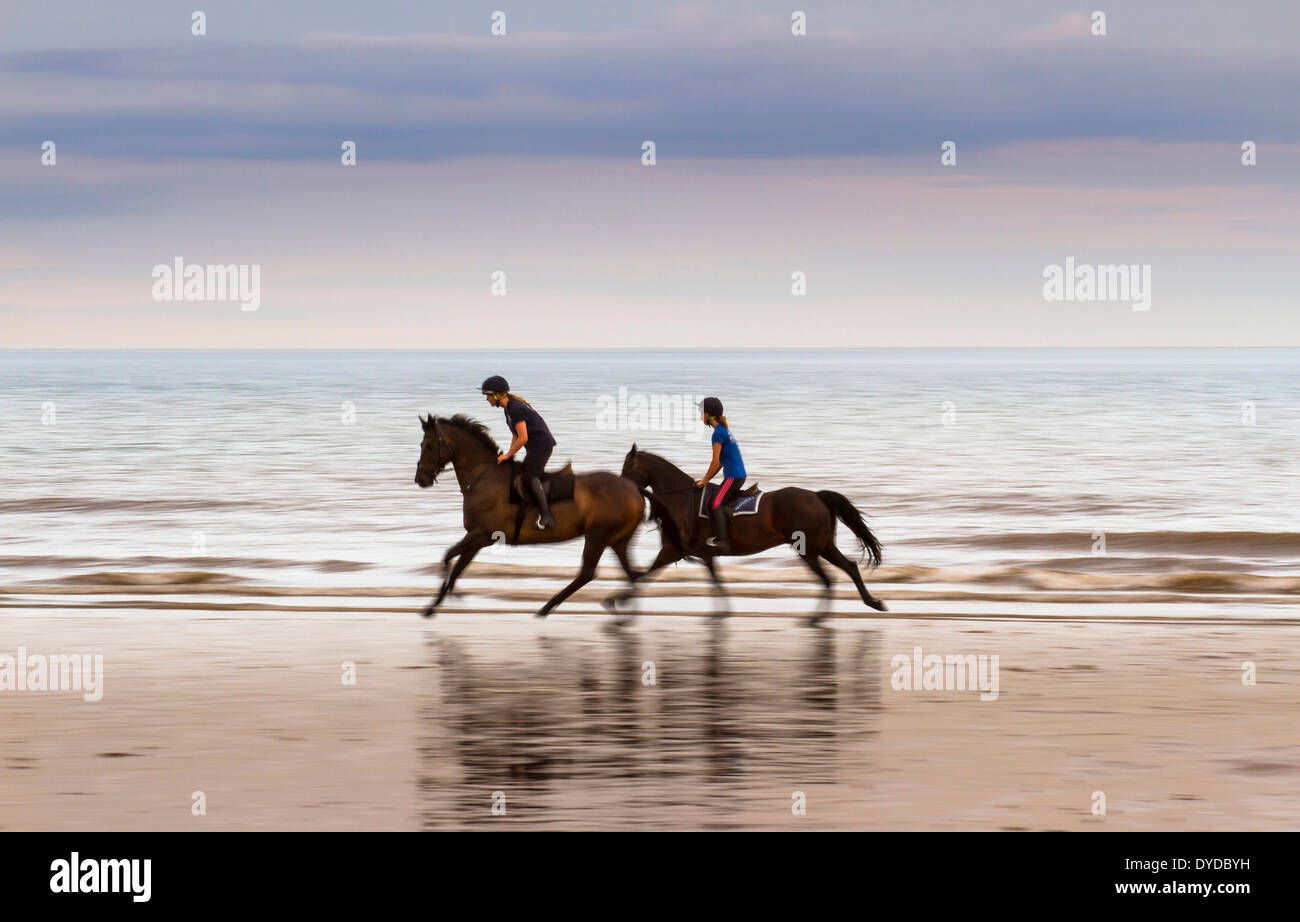 Riders galloping along a beach. Stock Photo