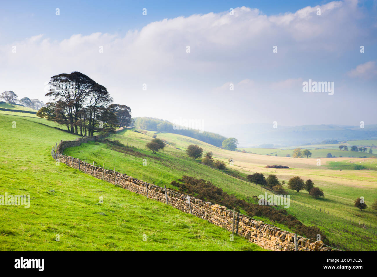 Autumn mists on rolling Derbyshire countryside near Bakewell. Stock Photo