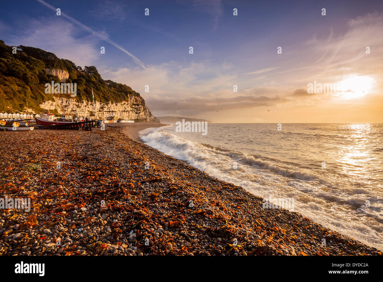 A view along the coastline at Beer in Devon. Stock Photo