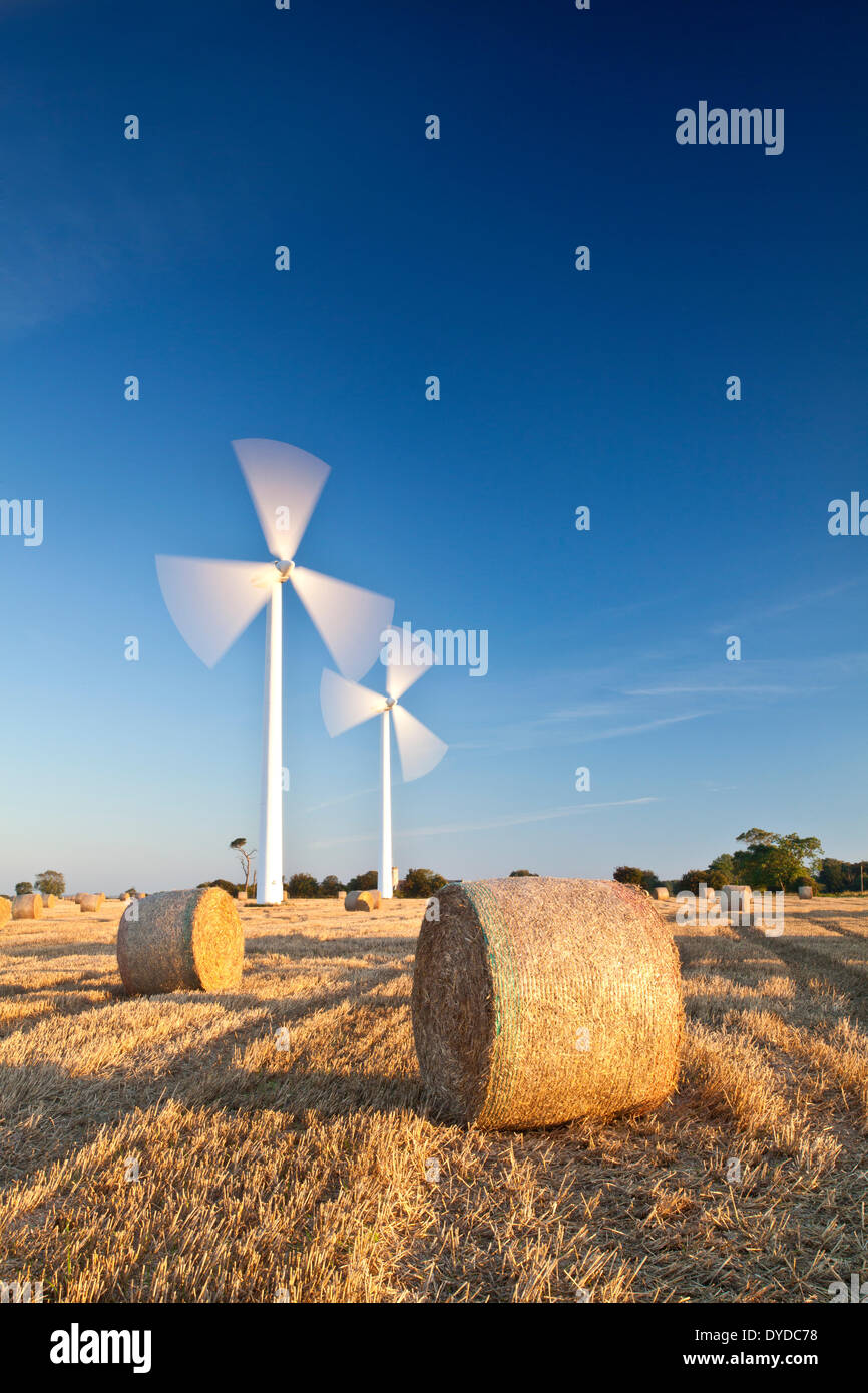 Crop rotation norfolk hi-res stock photography and images - Alamy