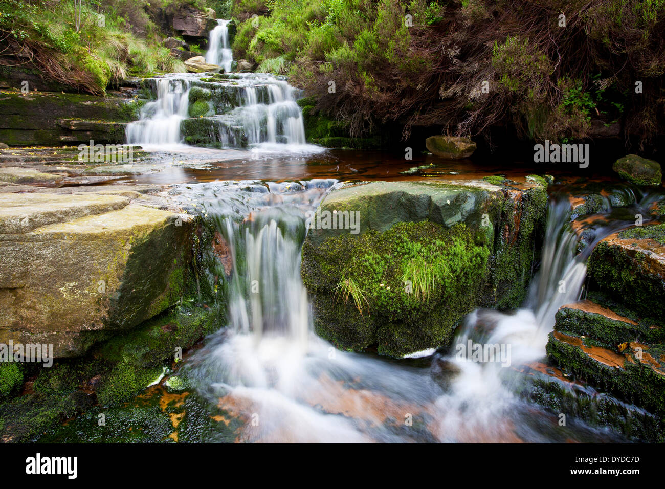 Black Clough Falls running off of Bleaklow in the Peak District National Park. Stock Photo