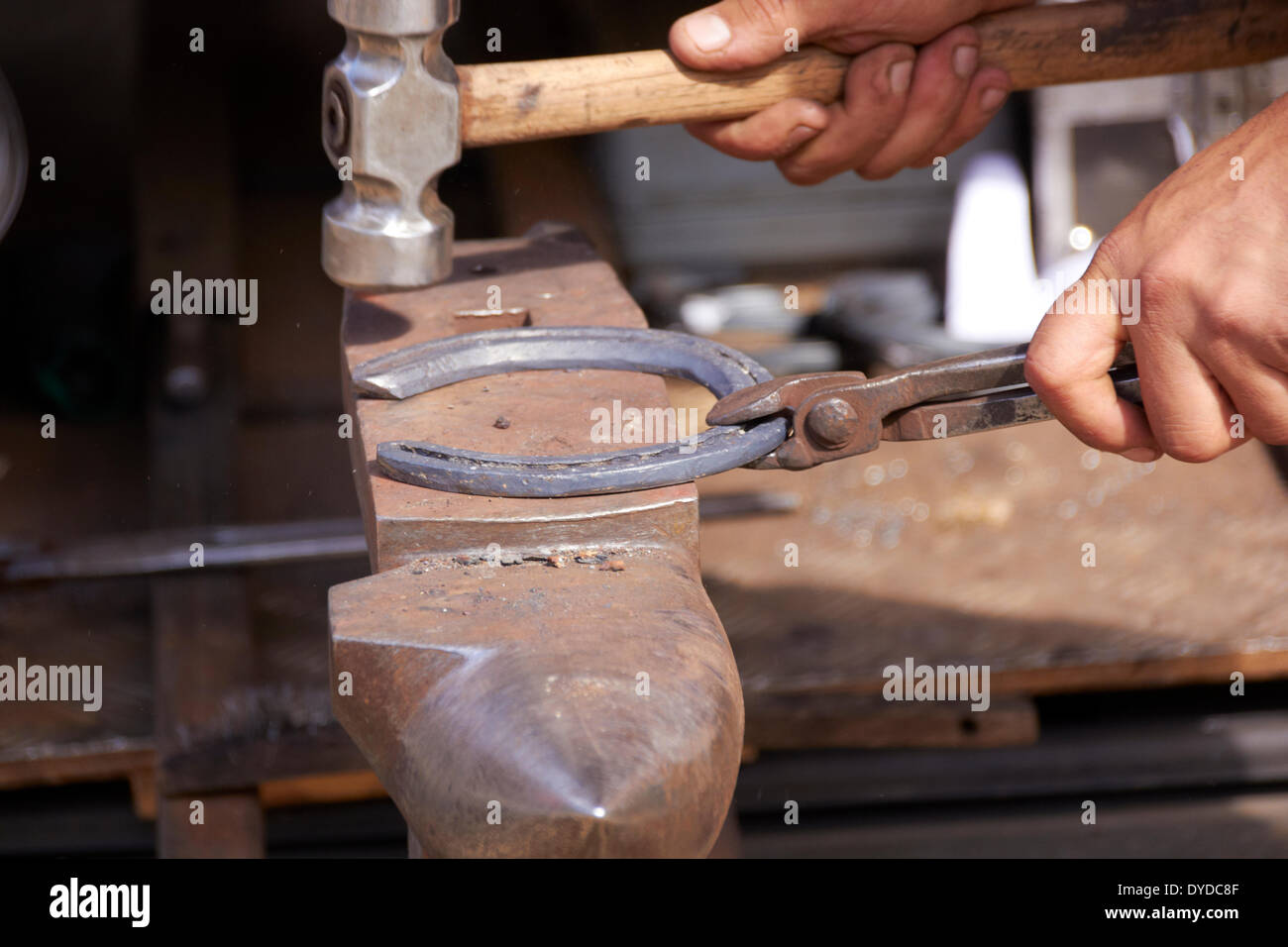 A farrier adjusting a shoe. Stock Photo