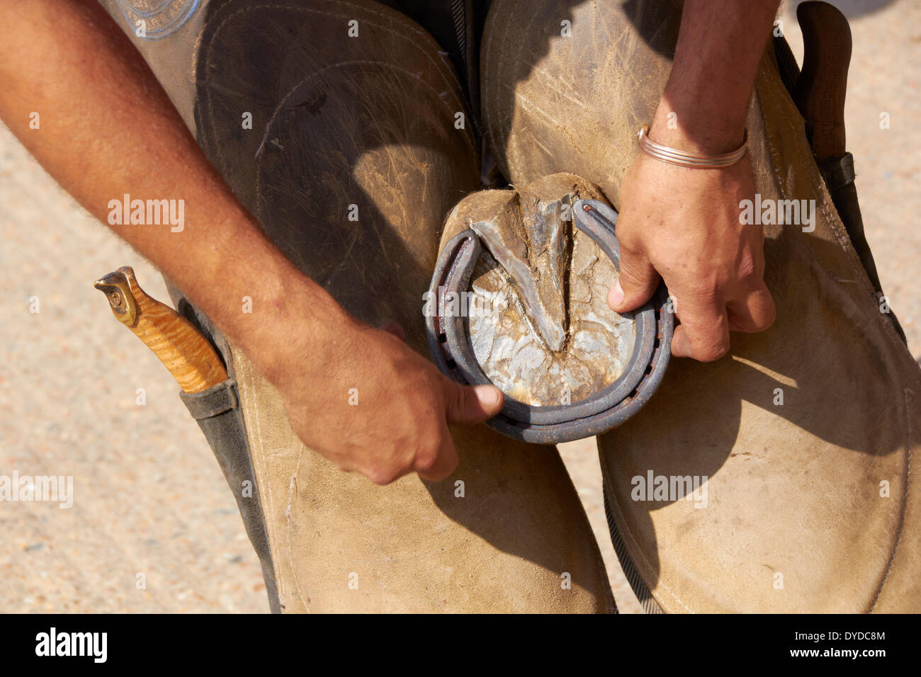 A farrier fitting a shoe to a hoof. Stock Photo