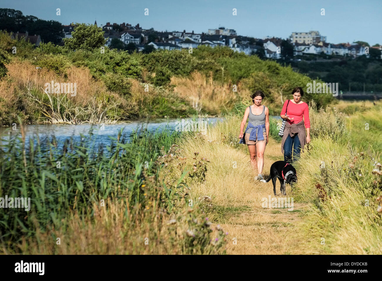 Two women walking with a dog in Two Tree Island nature reserve. Stock Photo