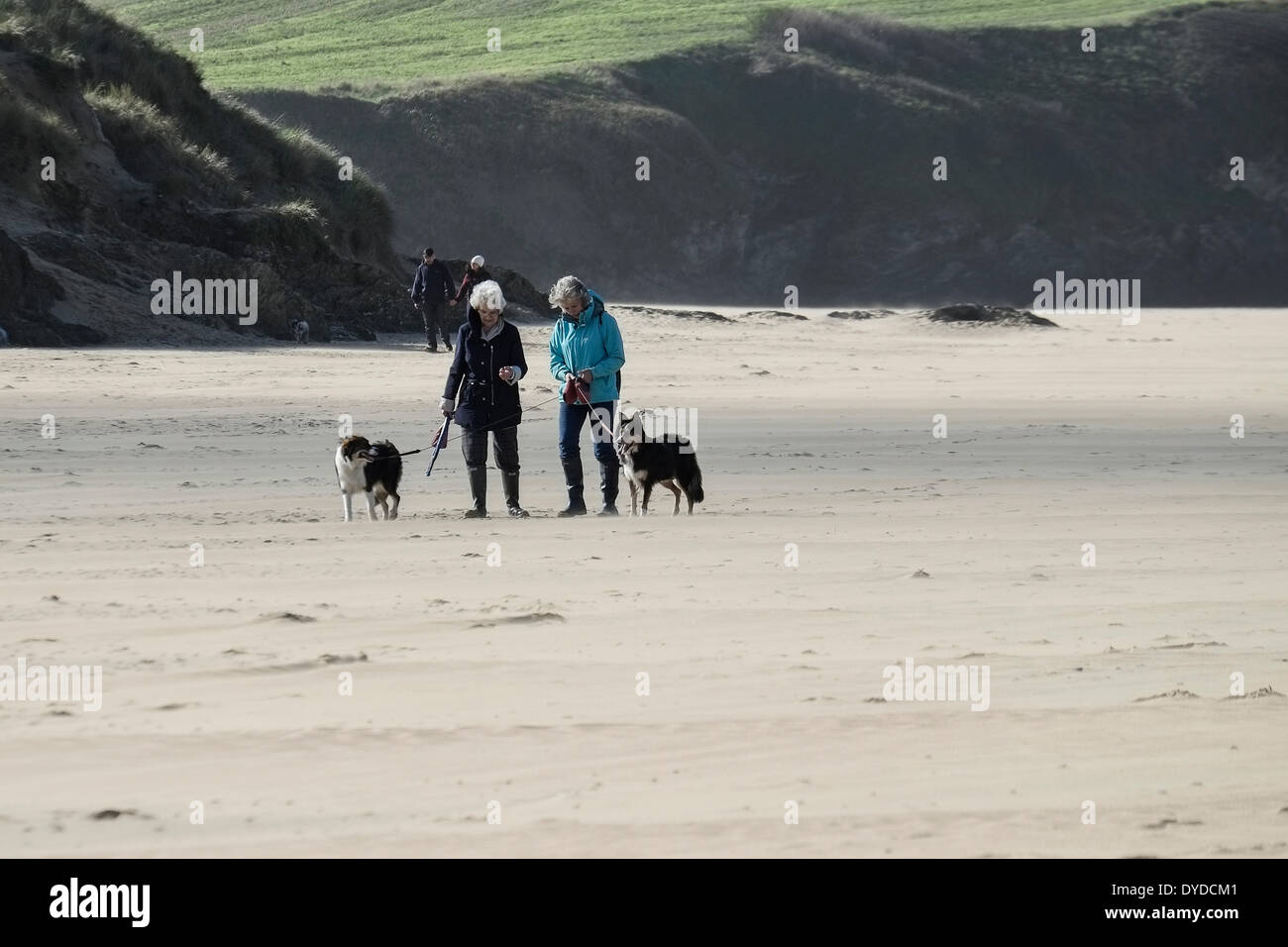 Dog walkers on Crantock Beach in Cornwall. Stock Photo