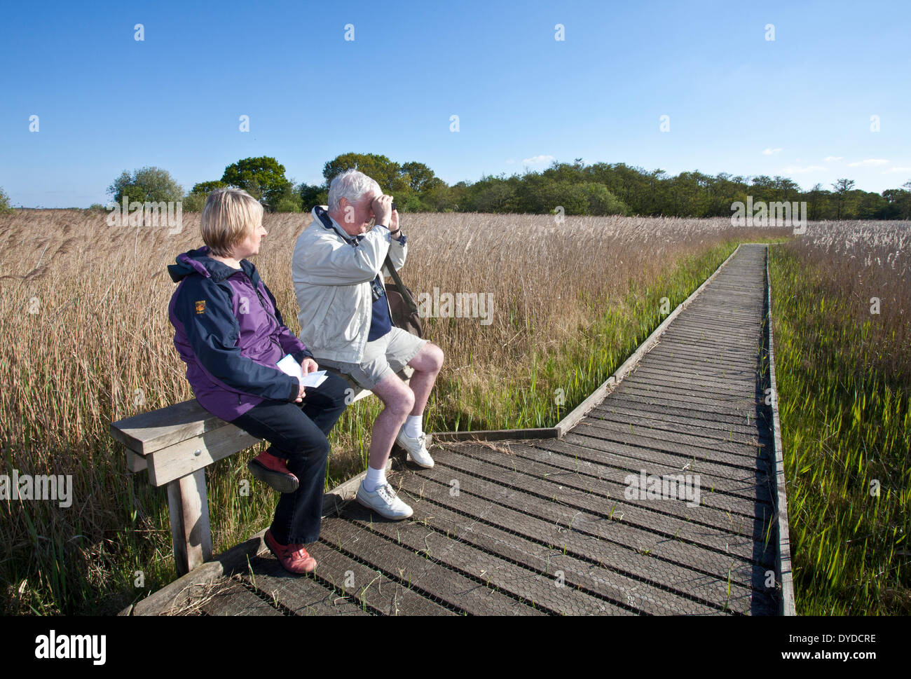 A couple bird watching at a nature reserve on the Norfolk Broads. Stock Photo