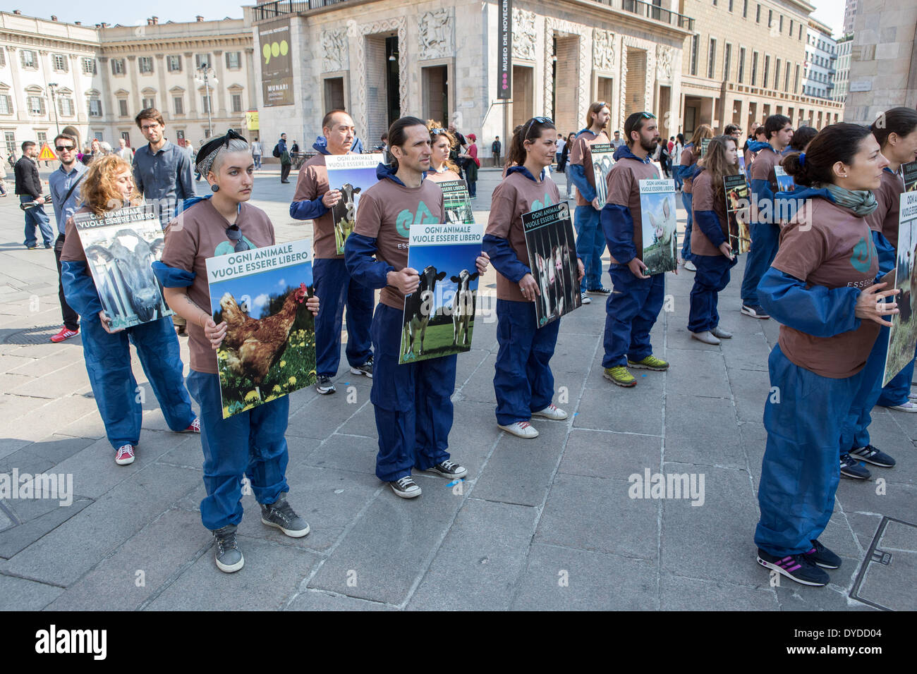 Milan Italy. 13th April 2014. Protest of the 'Essere Animali.org' against the slaughter of lambs at Easter in the Piazza Duomo Stock Photo
