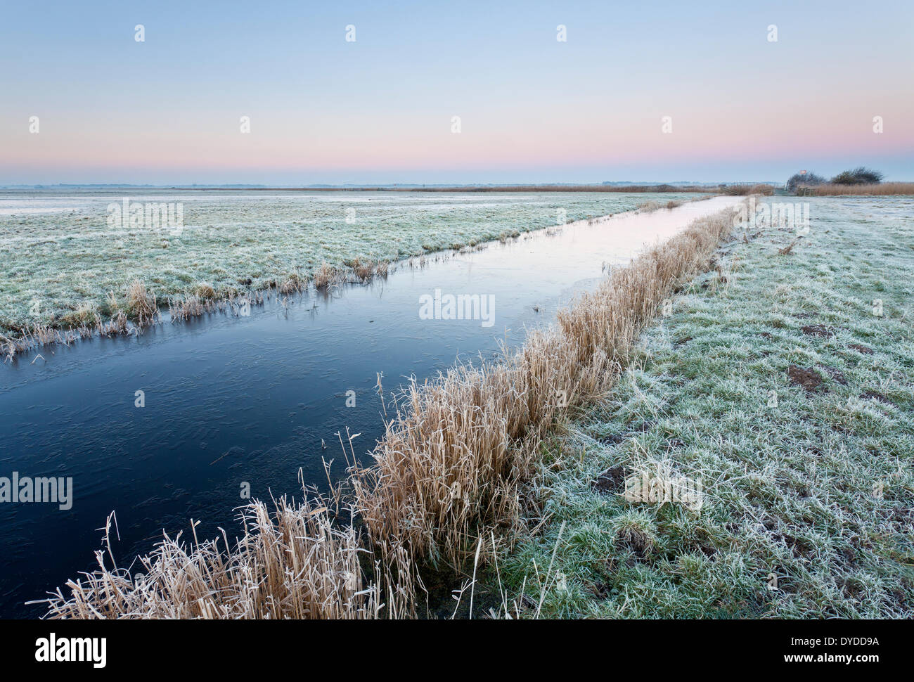 The remote Halvergate Marshes on the Norfolk Broads. Stock Photo