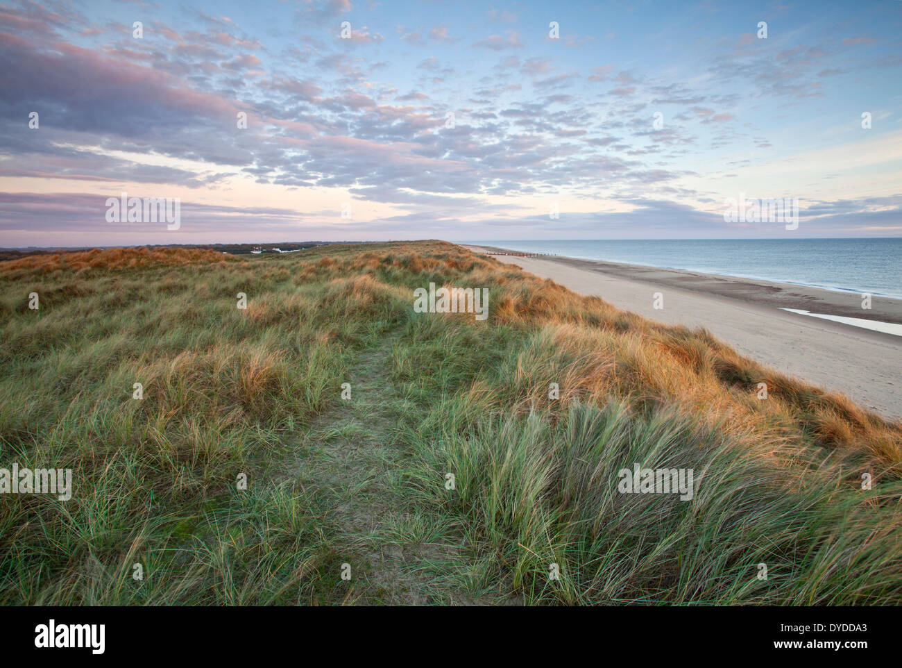 The Norfolk coastline at Horsey. Stock Photo