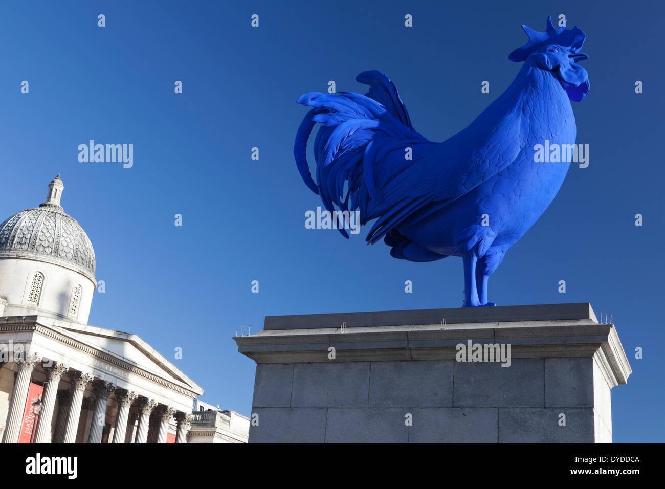 Blue Cockerel sculpture on the Fourth Plinth. Stock Photo