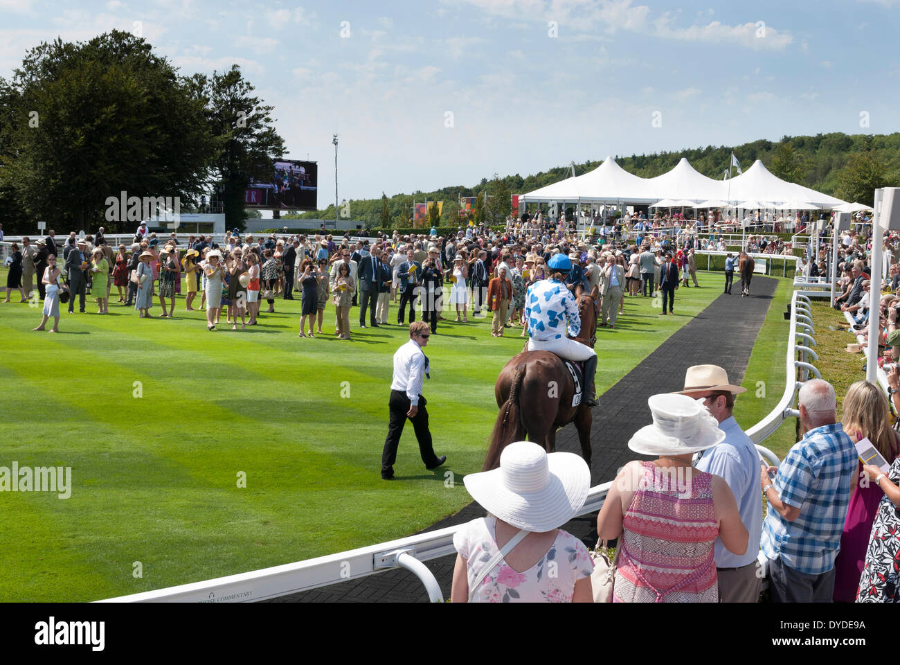 Owners and horses in the parade ring of Goodwood Racecourse. Stock Photo