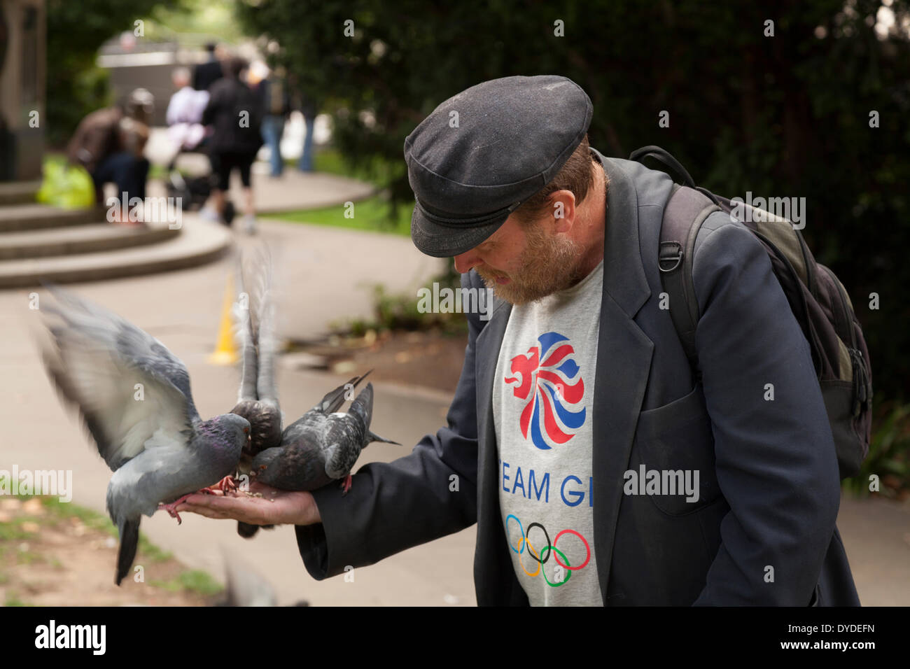 Man feeding pigeons in his hand at St Paul's Churchyard in London. Stock Photo