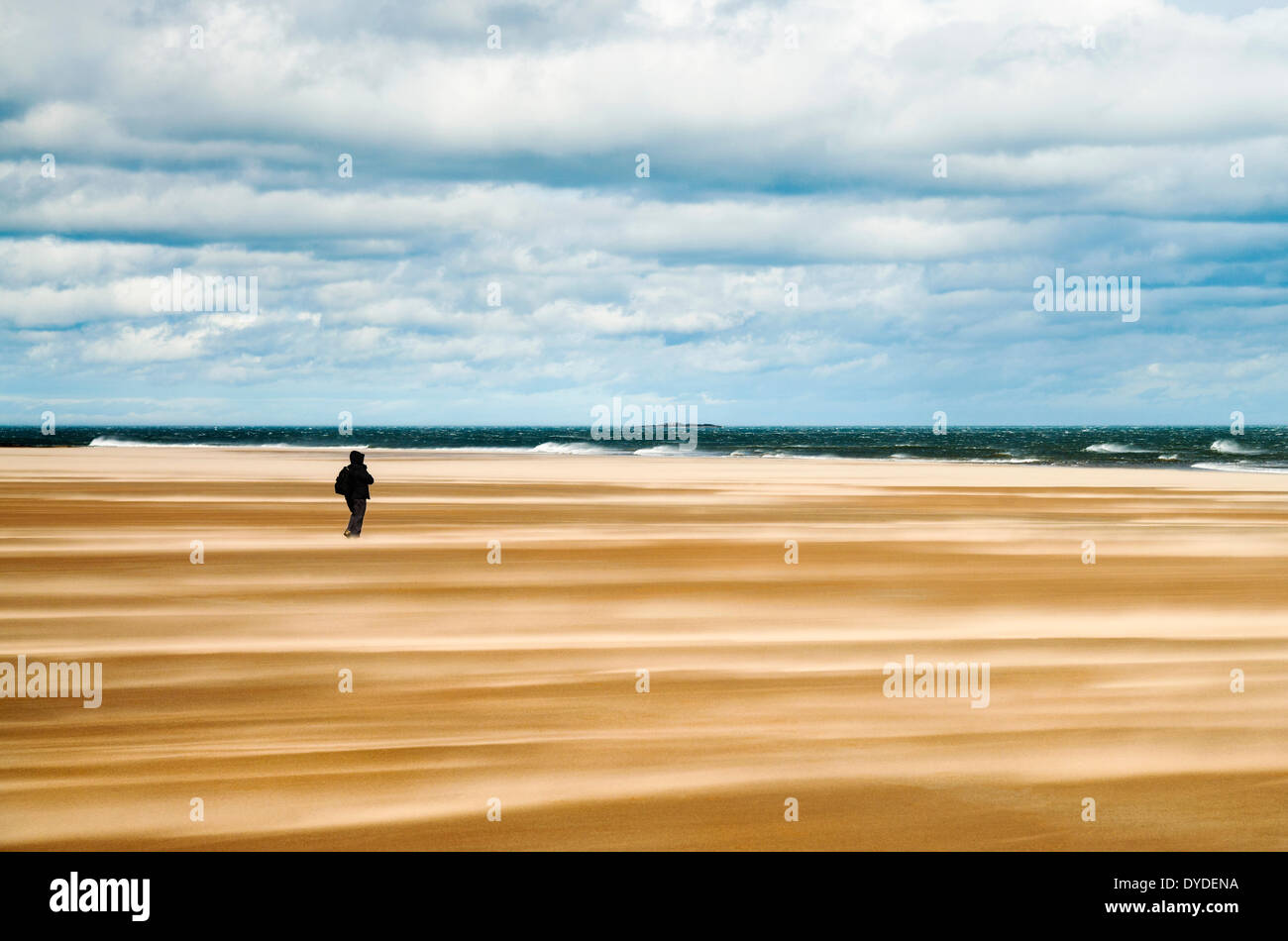A lonely walker on the beach between Bamburgh and Seahouses. Stock Photo