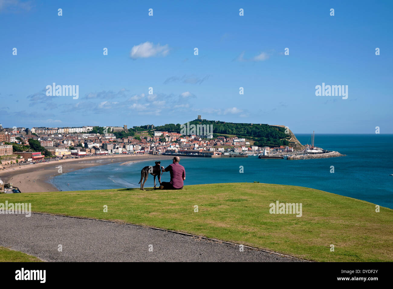 Man and a dog looking across South Bay in summer. Stock Photo