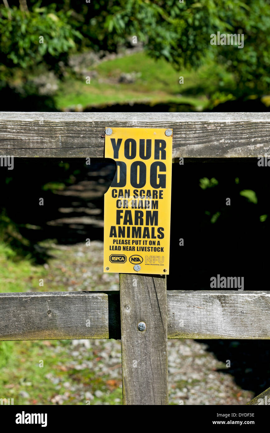 Warning sign for dog walkers on a wooden gate. Stock Photo