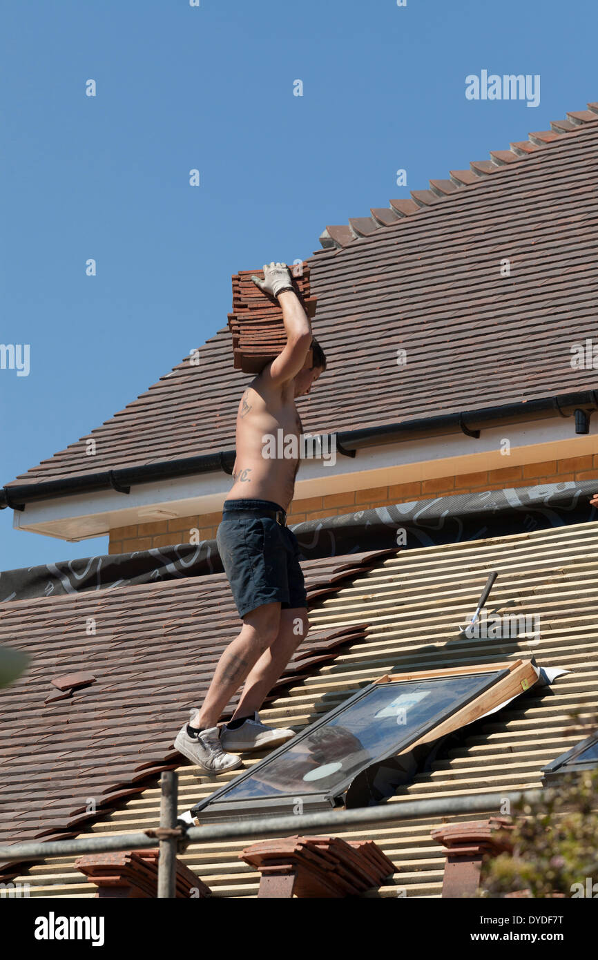 Roofer wearing only shorts and trainers carrying roof tiles working on a new roof around roof windows. Stock Photo