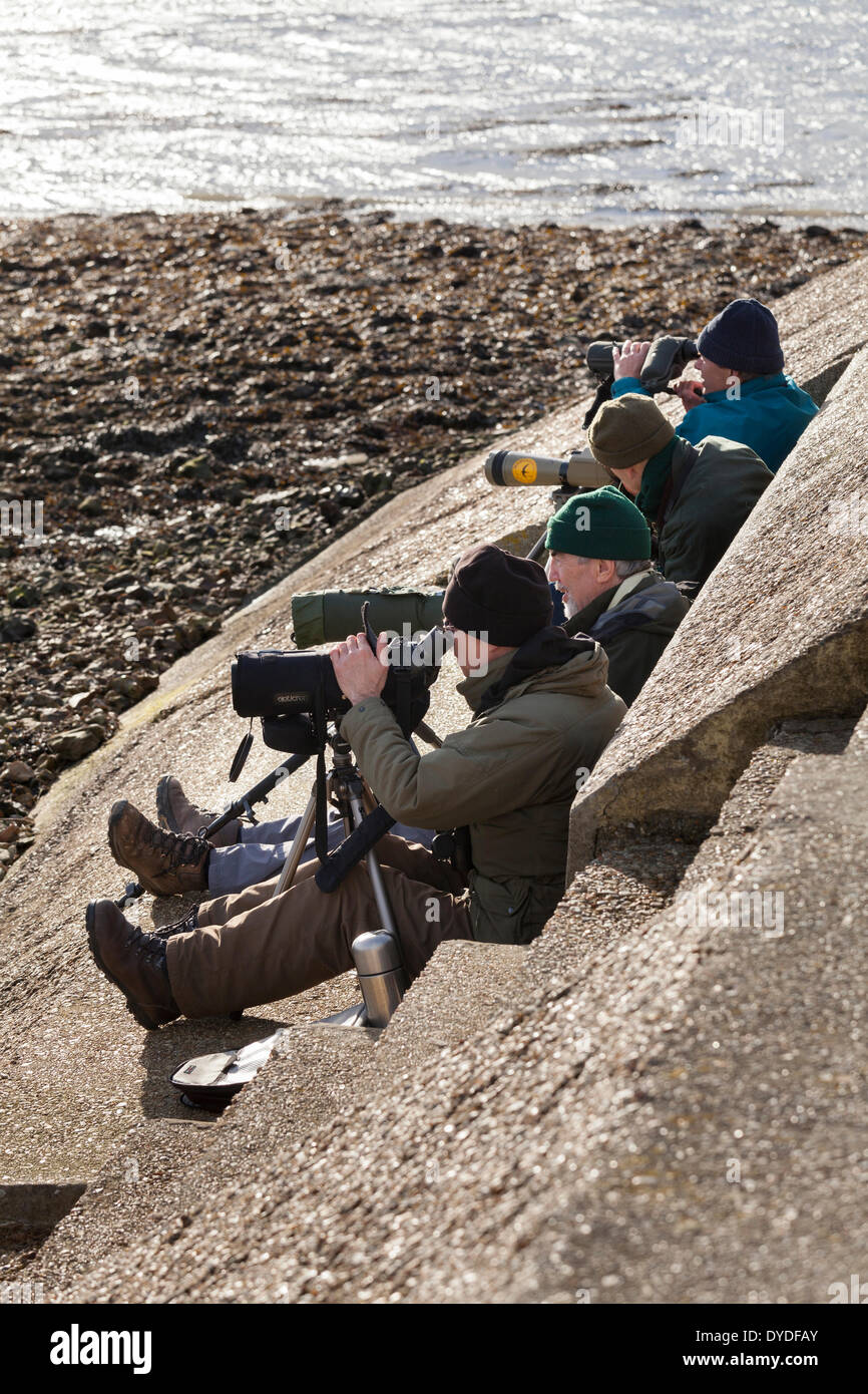 Bird watchers at Farlington marshes wetlands by sea wall with telescope and tripods. Stock Photo