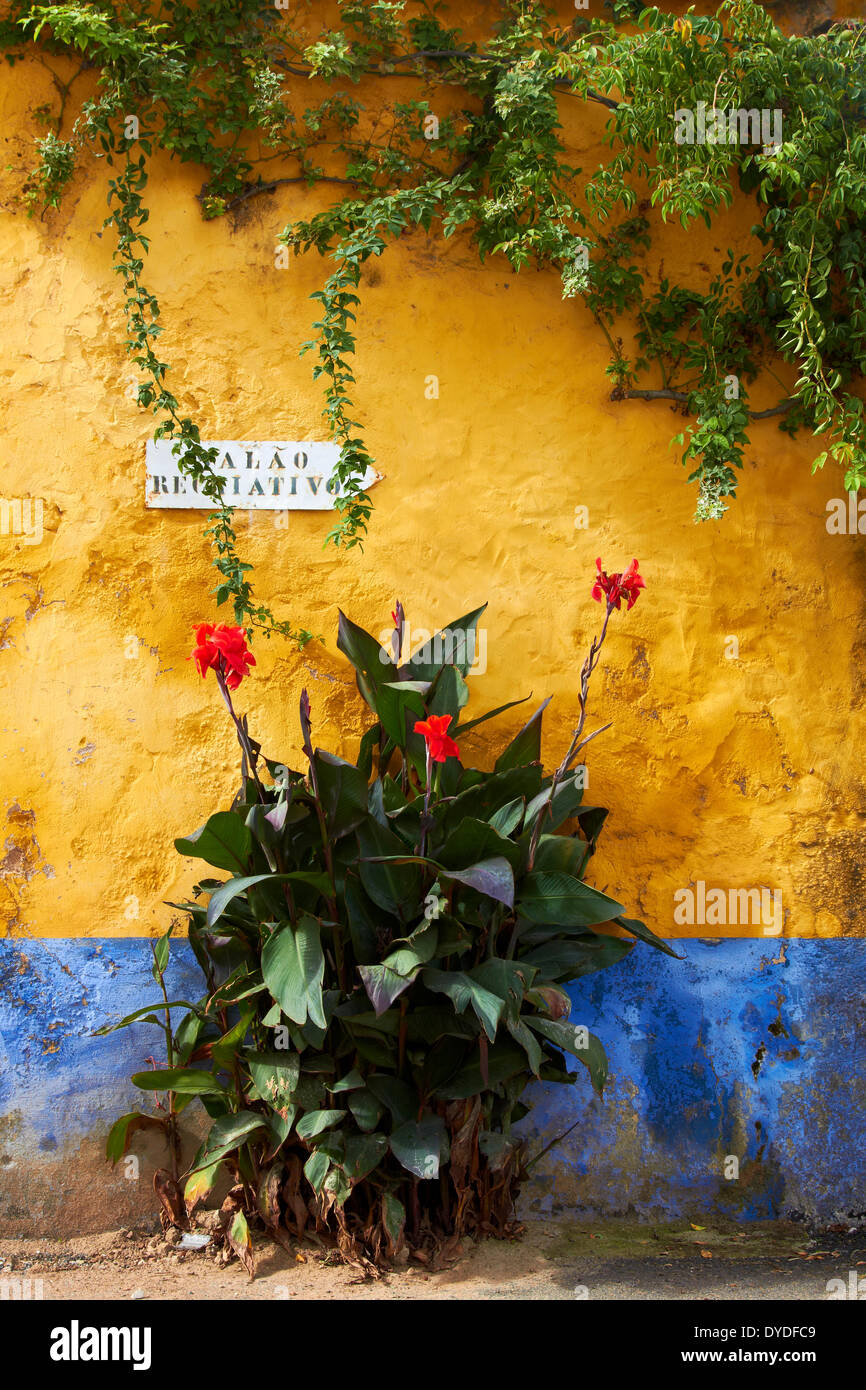 A weathered wall in a remote part of rural Portugal. Stock Photo