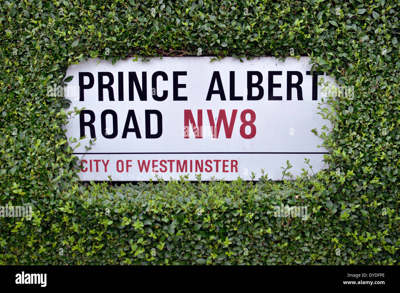 Prince Albert Road NW8 street sign. Stock Photo