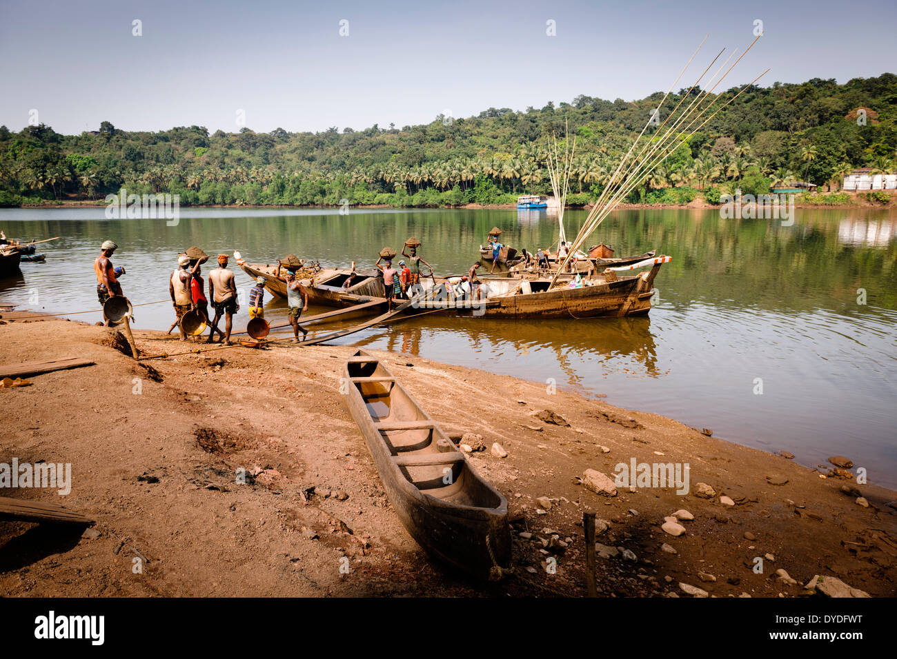 Manually offloading sand from a boat on the Mandovi River in Goa. Stock Photo