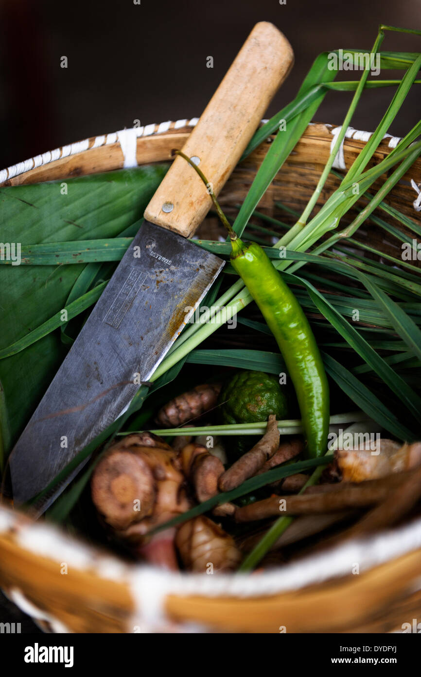 Produce from the garden at the Thai Farm Cooking School in Chiang Mai. Stock Photo