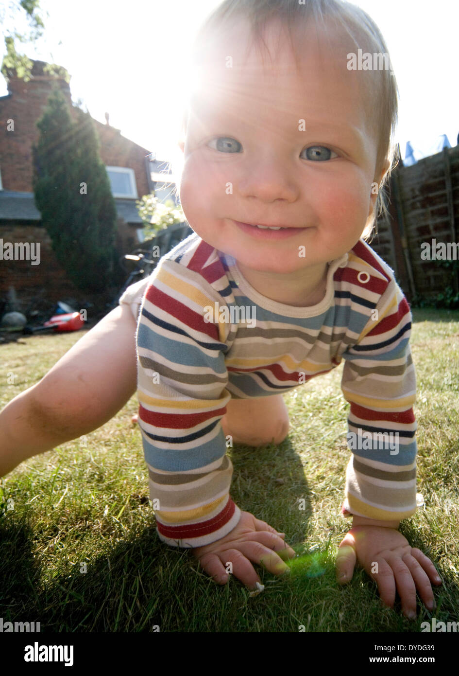 A small baby boy exploring crawling on the lawn in an english garden. Stock Photo