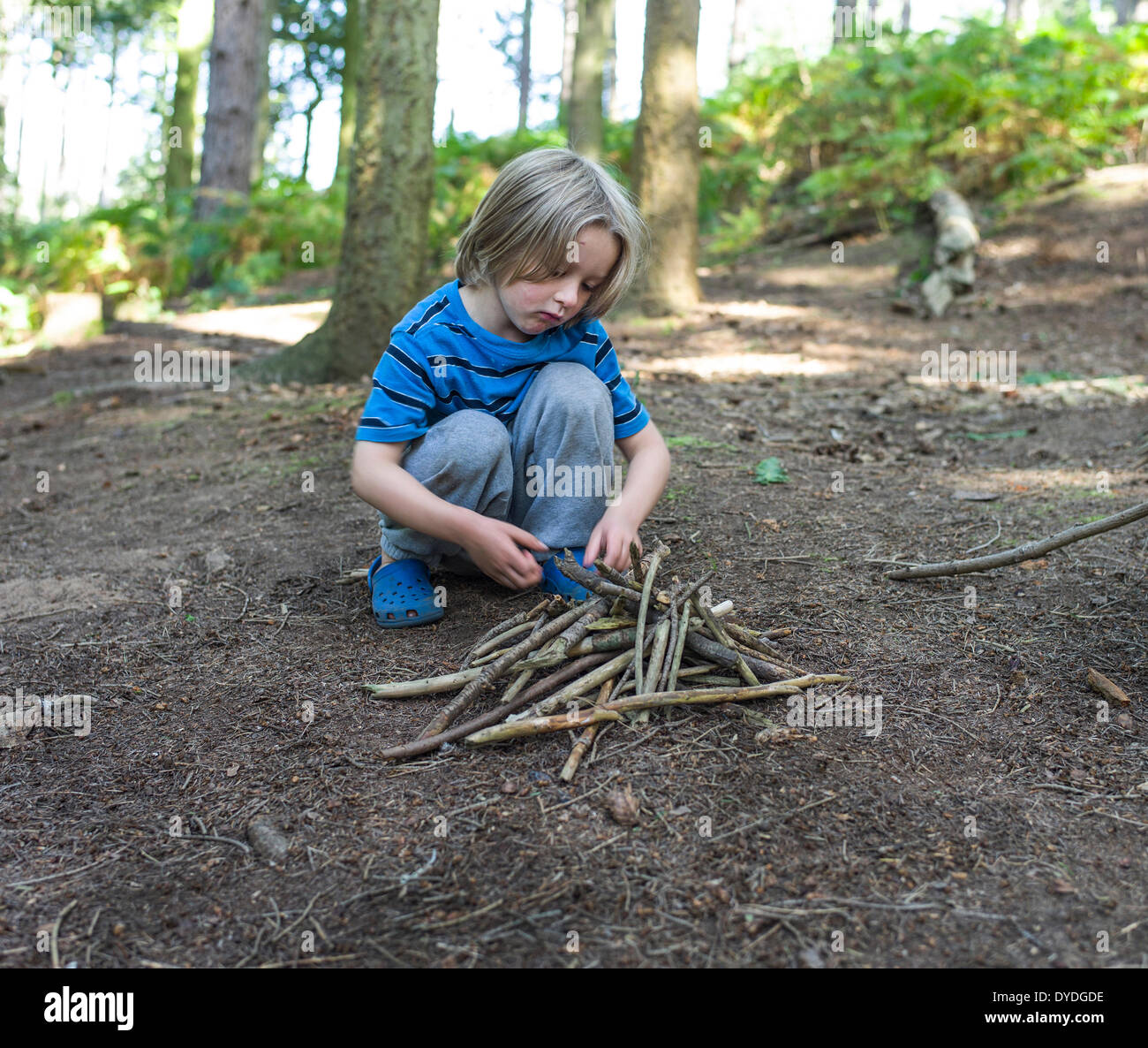 A young boy building a fire in the woods. Stock Photo