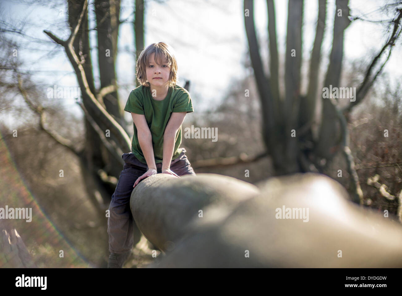 Seven year old boy climbing a tree. Stock Photo