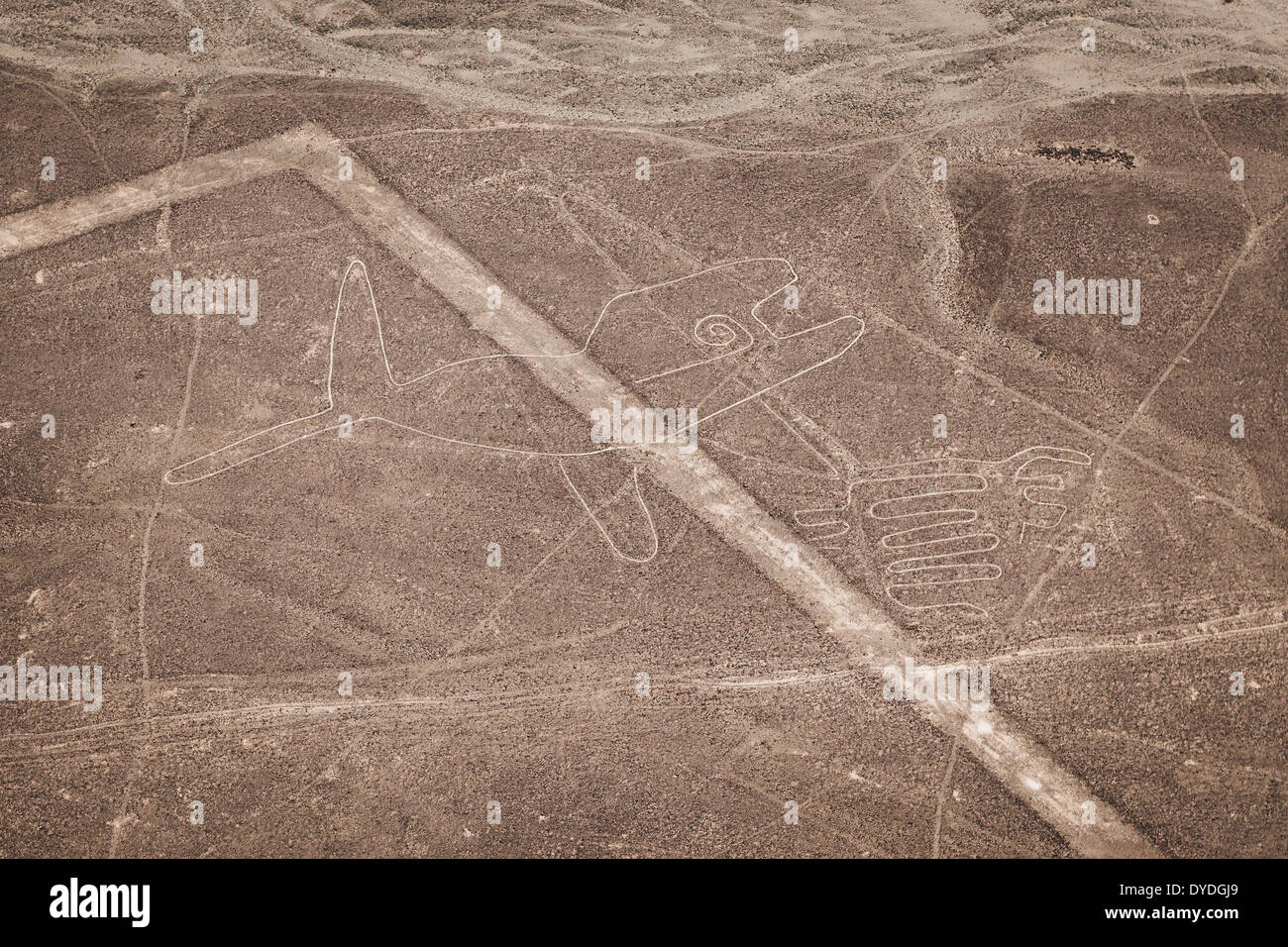 Nazca Lines featuring The Whale. Stock Photo