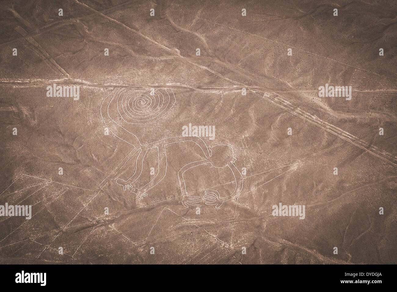 Nazca Lines featuring The Monkey. Stock Photo