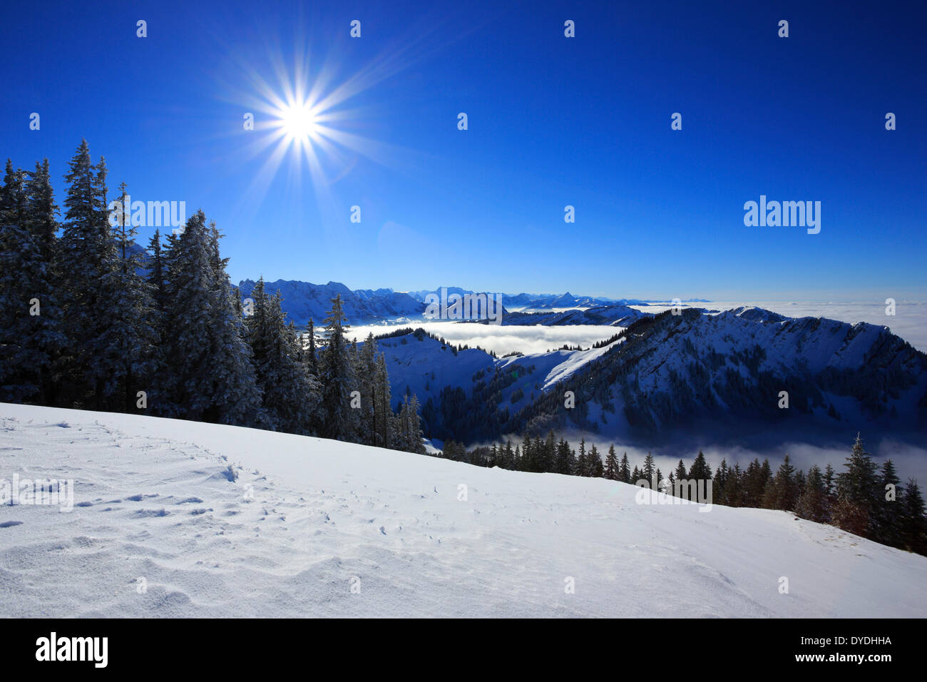 Alps Appenzell view Kronberg mountain mountain panorama mountains mist haze sky Kronberg massif Mattstock fog sea of fog pa Stock Photo